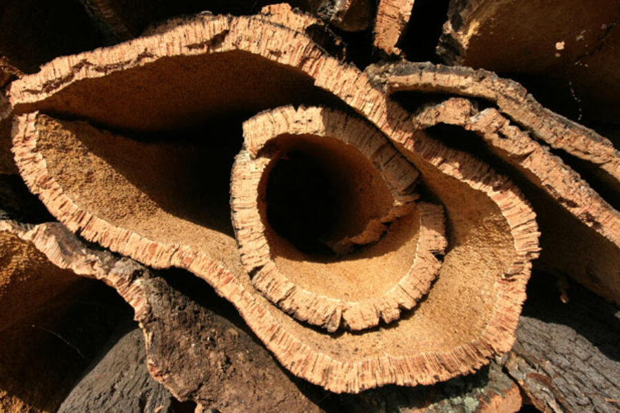 Mitos sobre el corcho