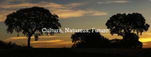 Lee más sobre el artículo Recursos naturales y moda