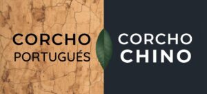 Lee más sobre el artículo ¿Cuántos tipos de tela de corcho hay en el mundo?